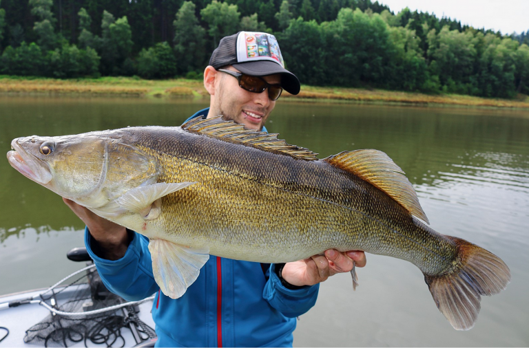 RUTE &amp; ROLLE - Dein Angelmagazin mit den besten Tipps &amp; Tricks