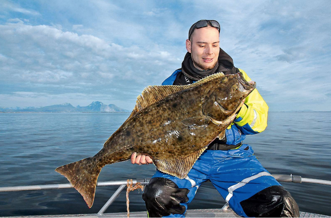 RUTE &amp; ROLLE - Dein Angelmagazin mit den besten Tipps &amp; Tricks