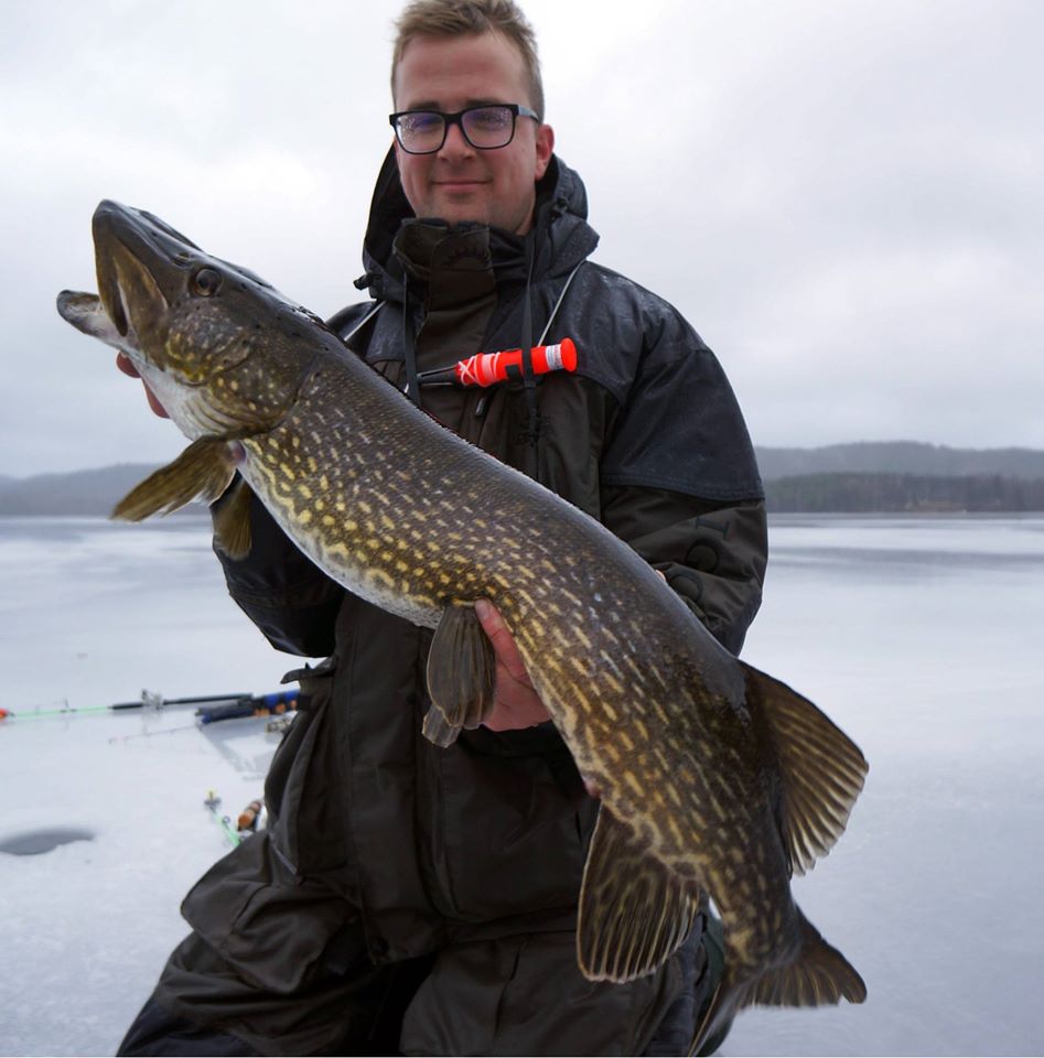 Eisangeln in Schweden bringt solche Hechte durchs Eisloch. Glücklicher Fänger präsentiert den Fisch.