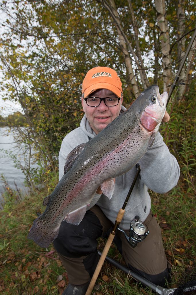 Regenbogenforelle (Oncorhynchus mykiss) RUTE & ROLLE Dein Angelmagazin