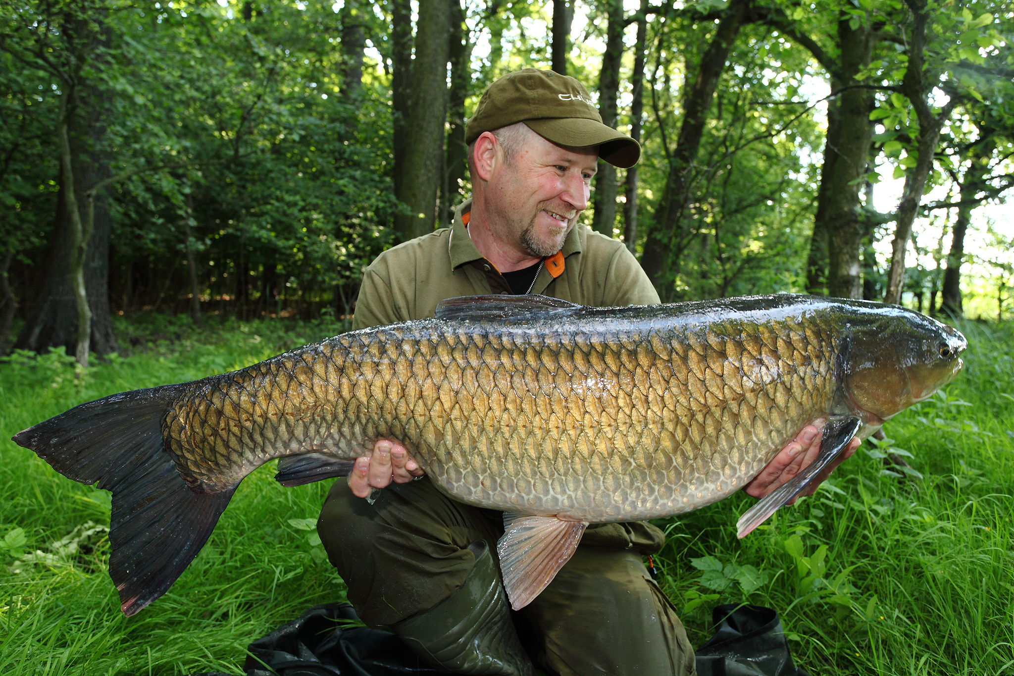 Weißer Amur (Ctenopharyngodon idella) - Fischkunde - Rute & Rolle