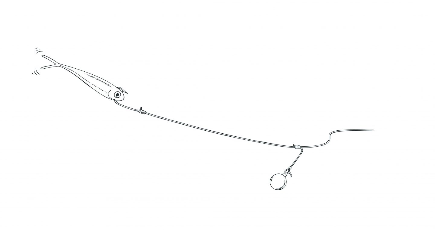 Barsch-Special, Teil 3: Finesse und Ultralight - RUTE&ROLLE