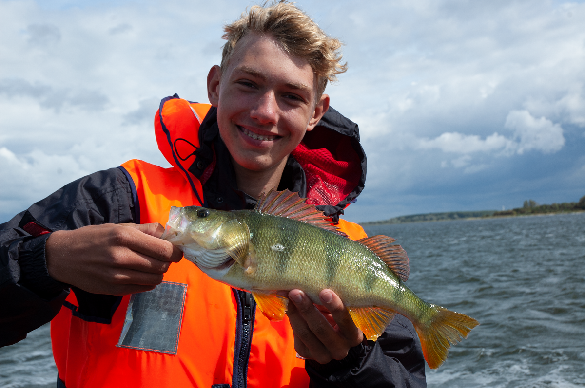Barsche und Hechte angeln an den Bodden | Anglerboard – Forum mit den