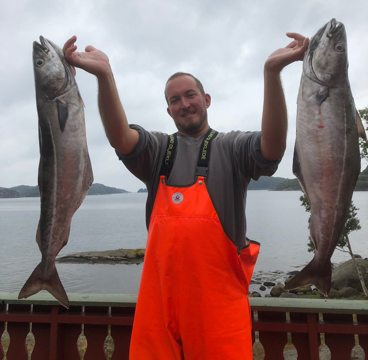 Fang Fisch aus