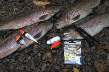 Pose, Bodentaster und Sbirolino sind drei Klassiker beim Angeln am Forellensee