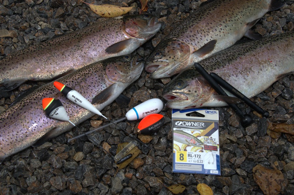 Pose, Bodentaster und Sbirolino sind drei Klassiker beim Angeln am Forellensee