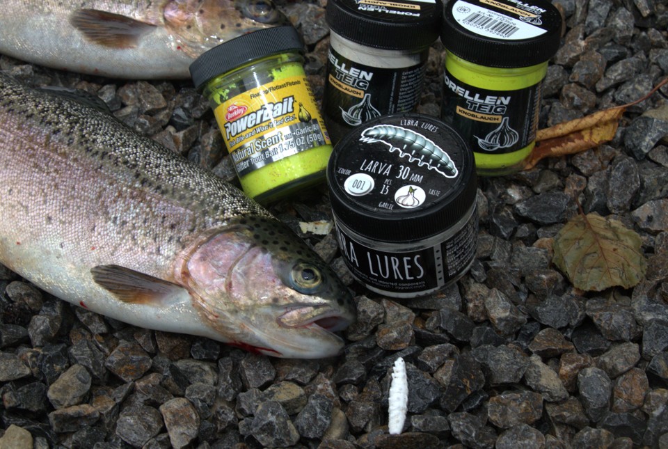 4.Künstliche Bienenmaden-Imitate oder Forellenteig sind ideal zum Schleppen geeignet