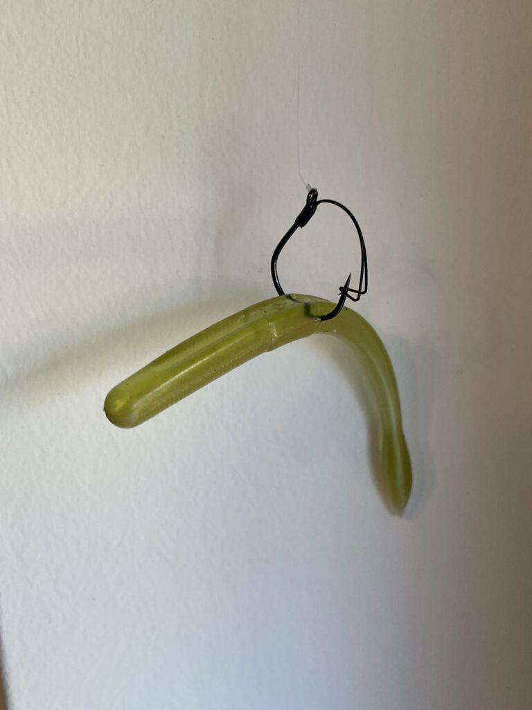 Beim Wacky Rig wird der Wurm mittig angeködert