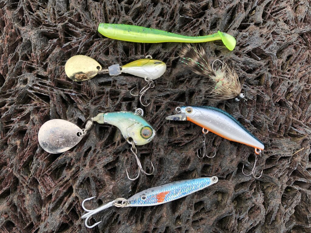 Kleine Gummifische, Jig Spinner, Streamer, Wobbler und Zocker dürfen beim Rapfenangeln nicht fehlen