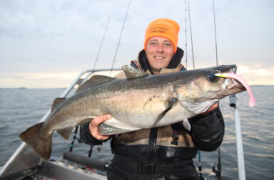Björn mit einem super Pollack, den er vor Abelvær fing