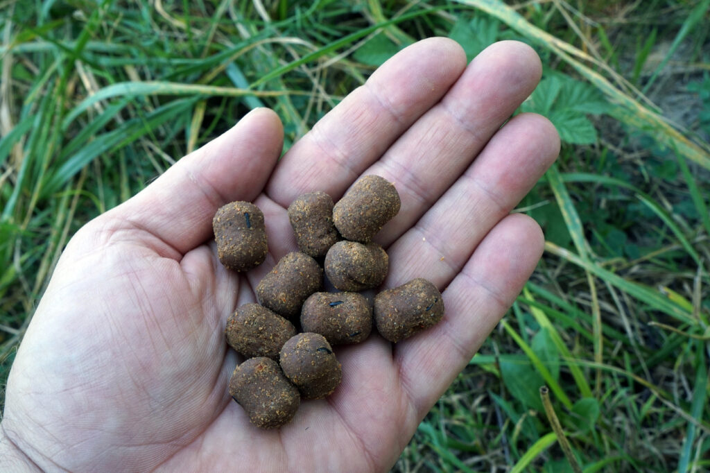 Dumbells bleiben besser am Boden liegen als runde Köder
